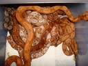 DSC00084