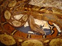DSC09732
